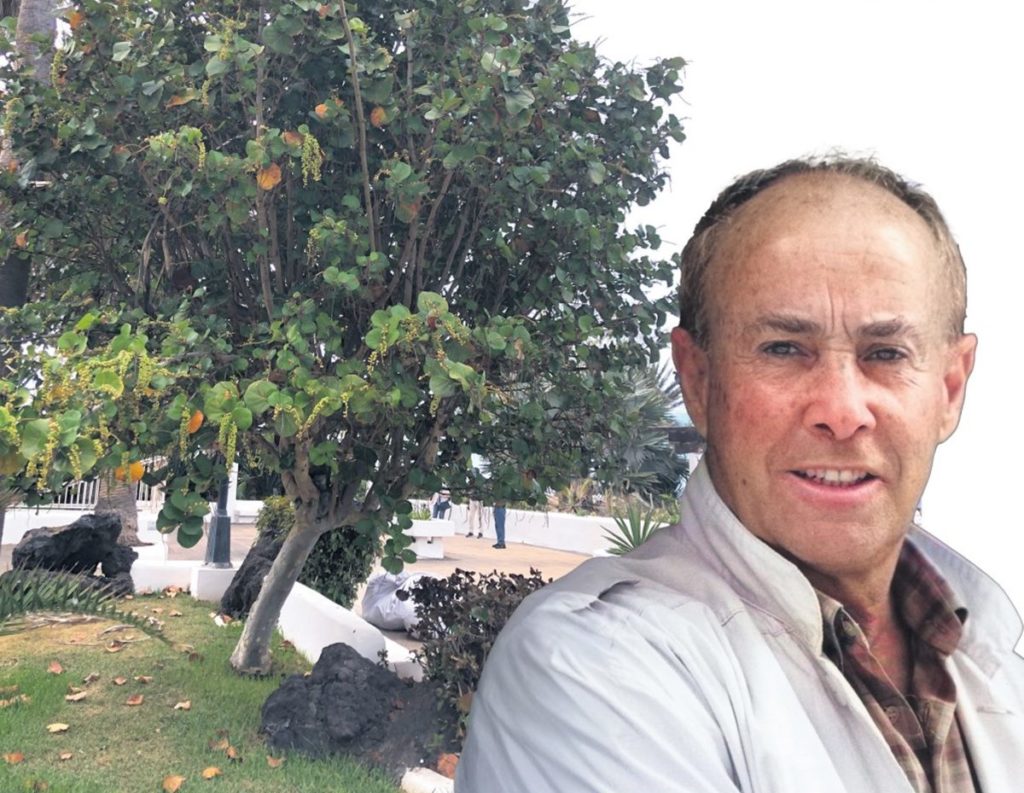El árbol salvado por César Manrique al que el artista hablaba y acariciaba