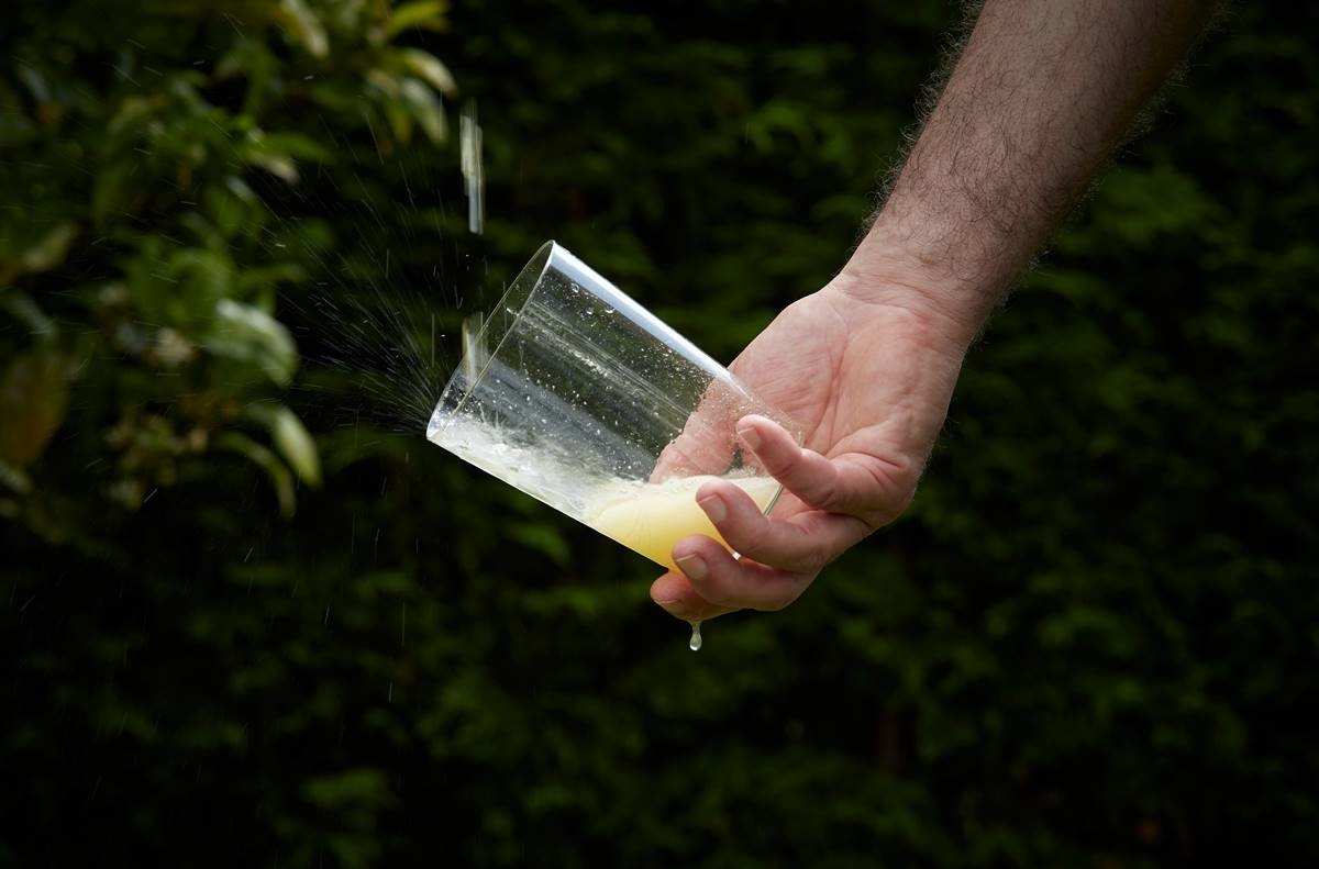 Esta es la mejor sidra de Canarias: con manzanas de las Islas y sin azúcares añadidos