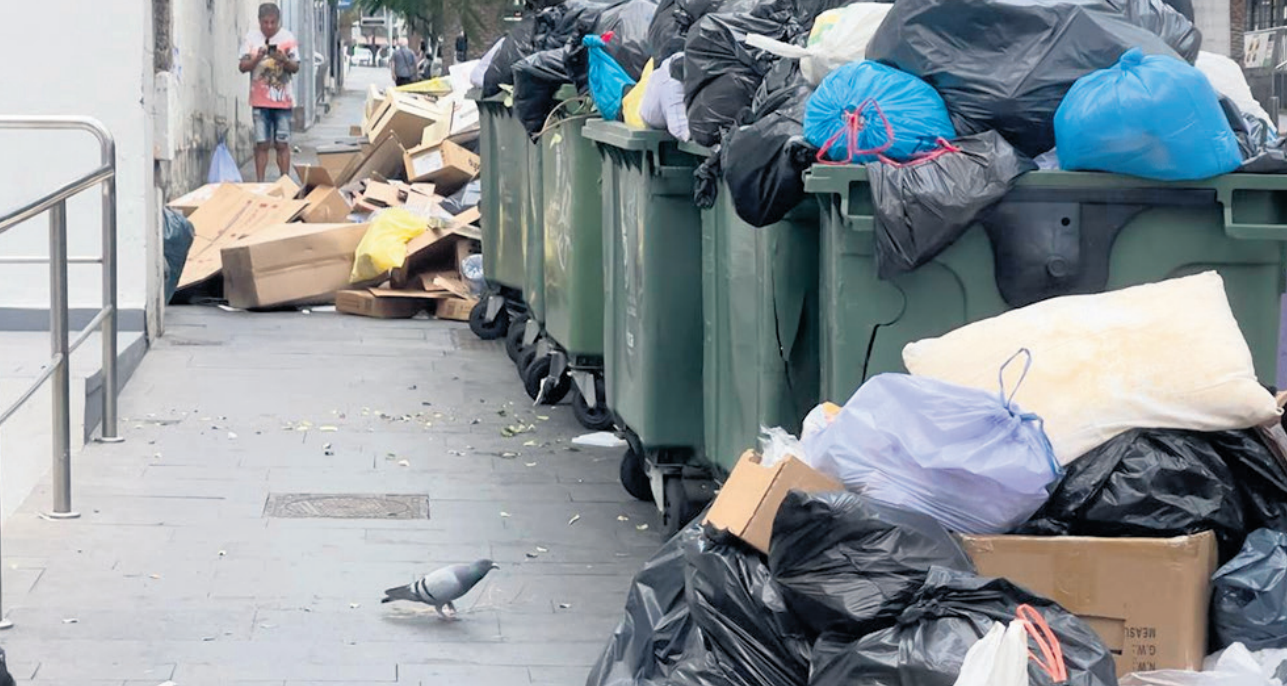 Vecinos de Puerto de la Cruz denuncian la proliferación de ratas y la ...