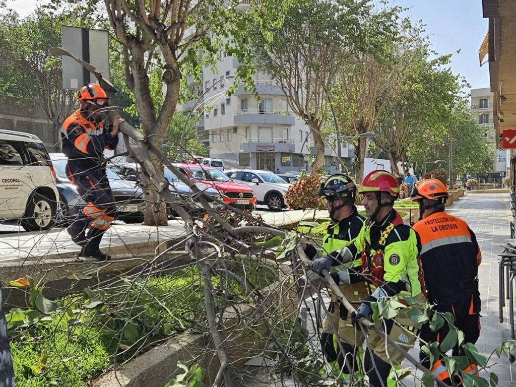 Caídas de árboles y reactivación de incendios: las incidencias de los bomberos en Tenerife por la prealerta