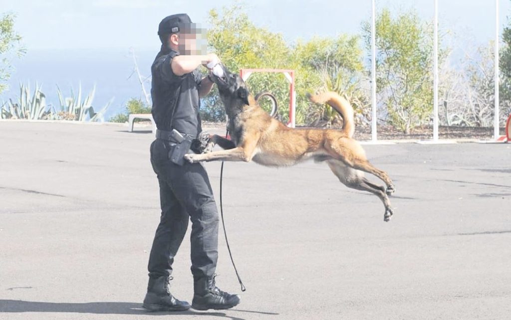 Las convocatorias a policía guía canino en Santa Cruz, denunciadas en Fiscalía