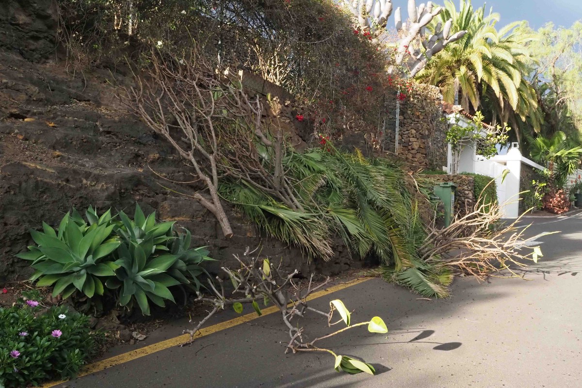 El Gobierno lanza una serie de importantes recomendaciones ante la llegada de la DANA a Canarias