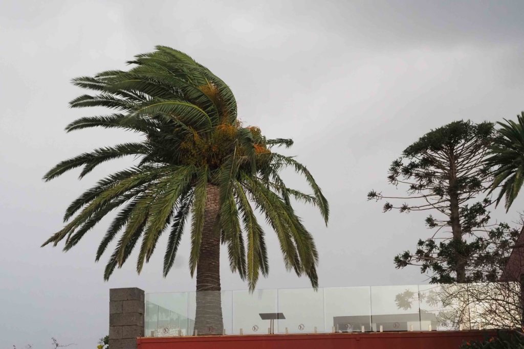Canarias mantiene la alerta máxima por vientos en El Hierro, La Gomera y Tenerife