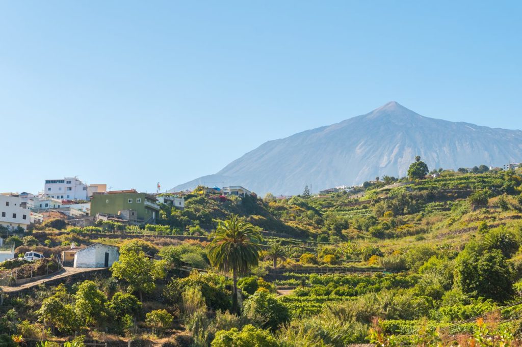 Uno de los lugares más comestibles de España está en Tenerife