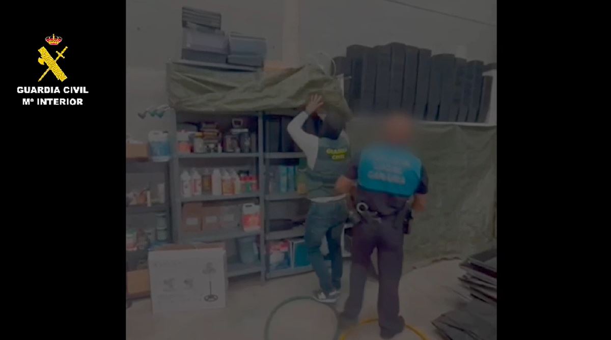 Golpe al narcotráfico de la Guardia Civil en Tenerife: acaban con tres 'fábricas' de droga