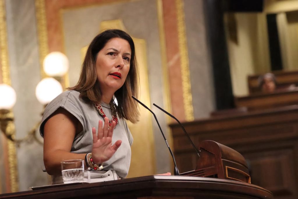 Alicia Álvarez, diputada del PSOE por Santa Cruz de Tenerife. DA
