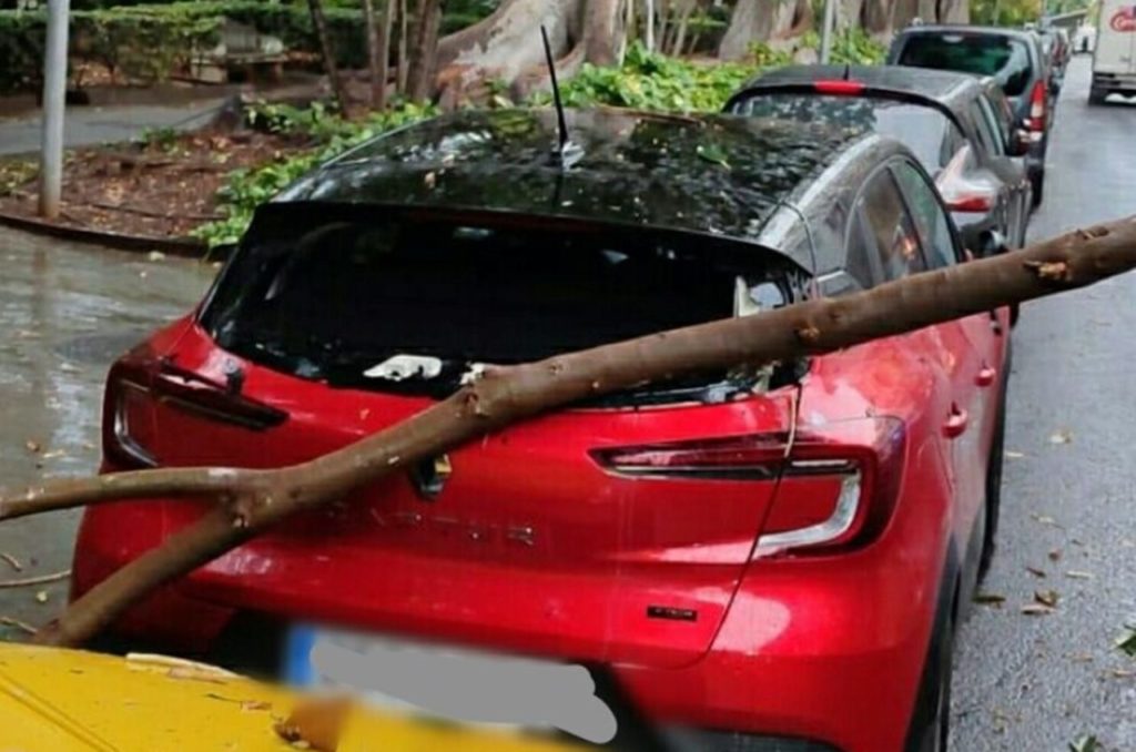 Buscan al propietario de este vehículo en Santa Cruz de Tenerife. Policía Local