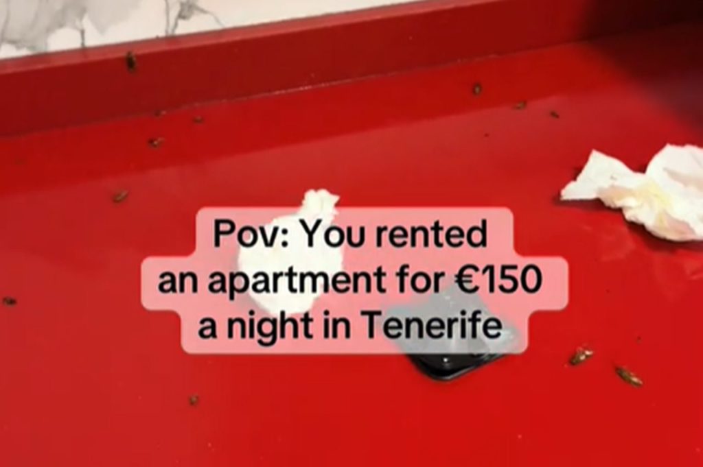 Alquila un apartamento en Tenerife por 150 euros la noche y se queda sin palabras por lo que descubre