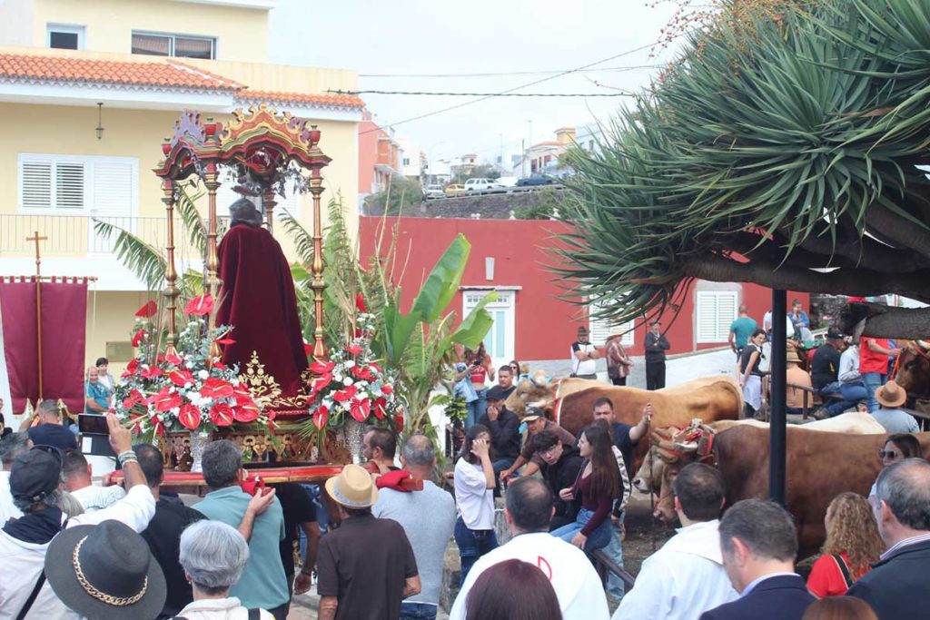 La devoción por San Antonio Abad reúne a miles de personas en pueblos del Norte de Tenerife