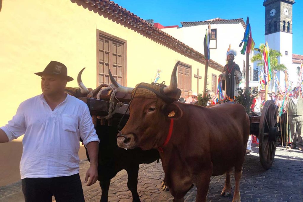 La devoción por San Antonio Abad reúne a miles de personas en pueblos del Norte de Tenerife