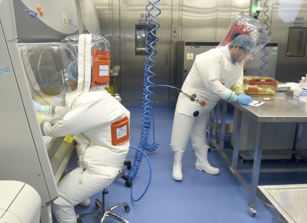 China descubre un nuevo coronavirus en murciélagos que podría infectar a humanos