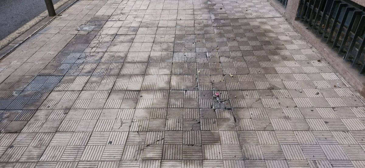 Estado actual de la vía, con manchas negras y restos de heces del can. DA