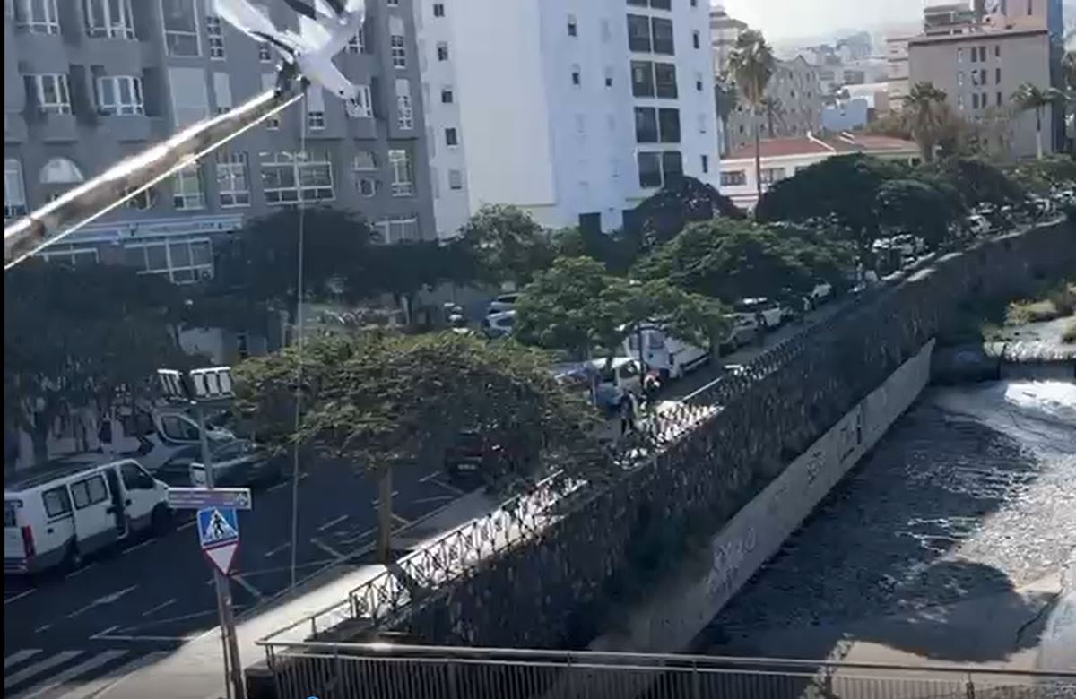 El disfraz más paciente del Carnaval de Santa Cruz: "Lleva horas y horas así..."El disfraz más paciente del Carnaval de Santa Cruz: "Lleva horas y horas así..."