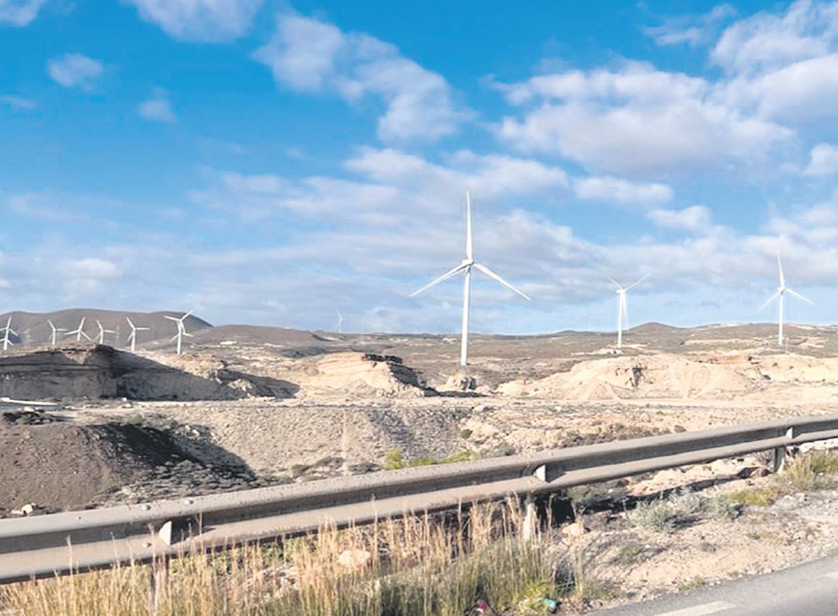 "Arico no puede seguir siendo el vertedero y la batería de Tenerife"