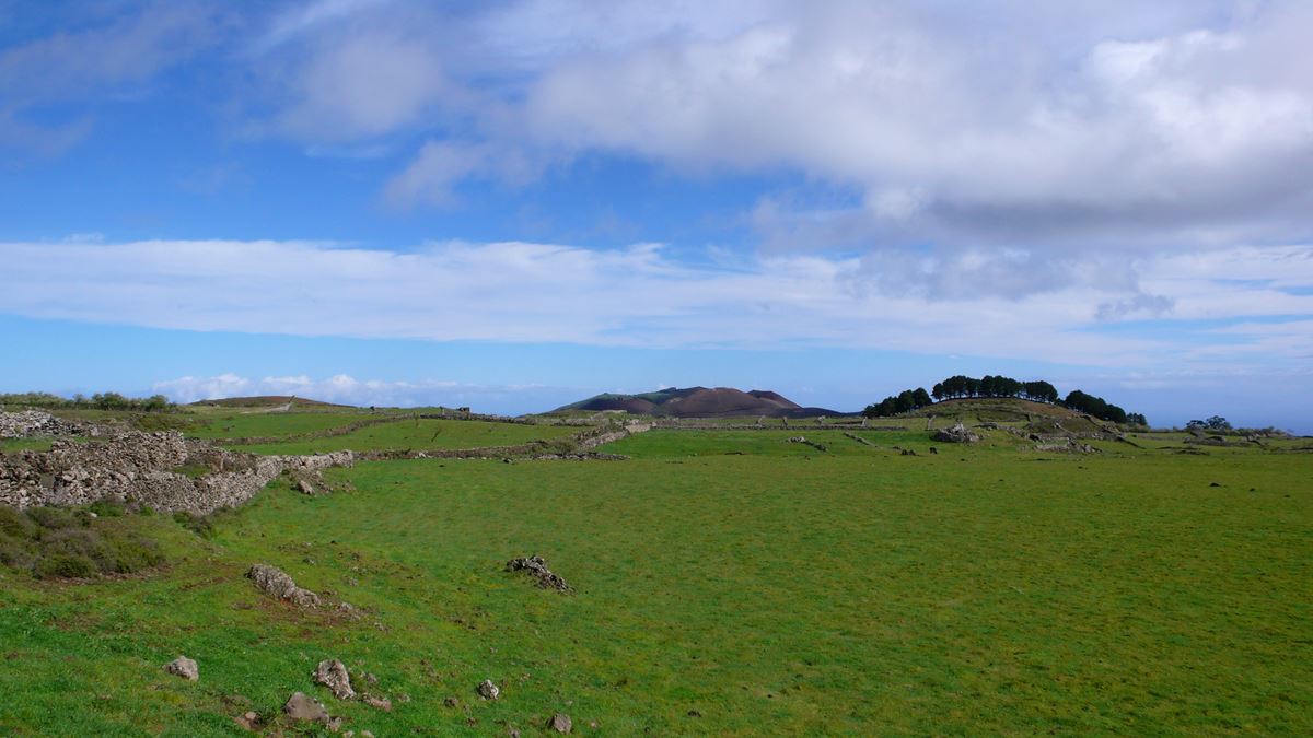 El bosque más curioso de Canarias y que parece sacado de una película