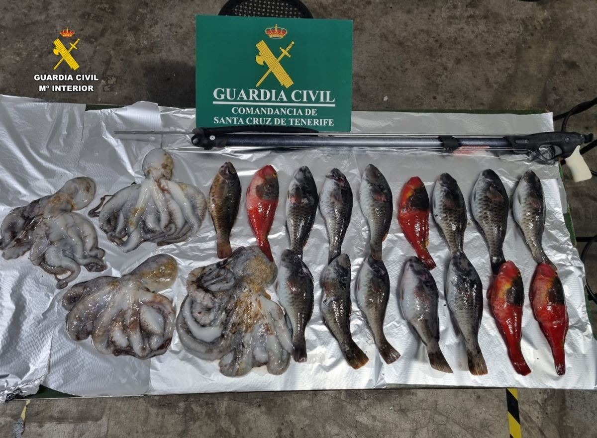La Guardia Civil pilla a un hombre pescando ilegalmente en Tenerife: pudo poner en riesgo a los bañistas