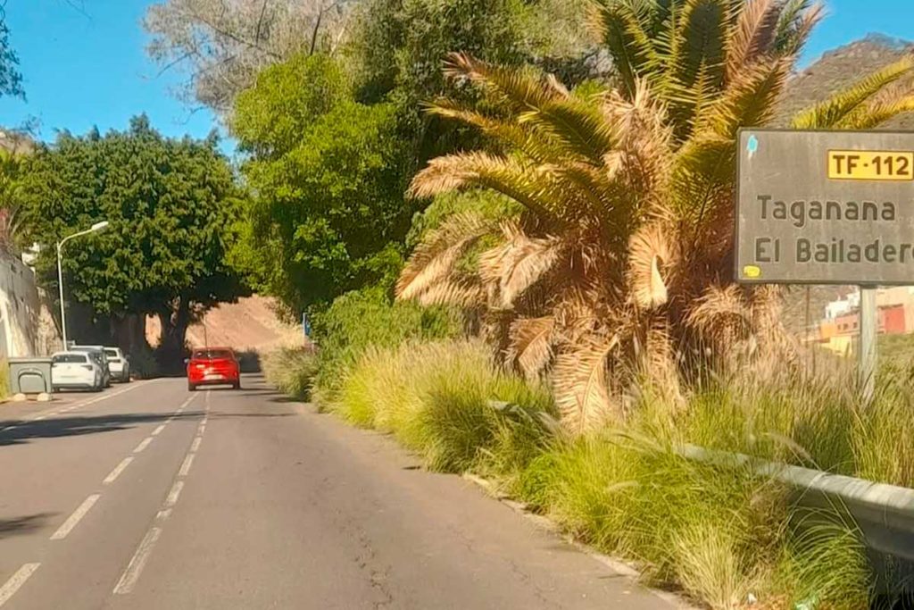 El parque rural de Anaga, invadido por la flora exótica y sin cuadrillas específicas