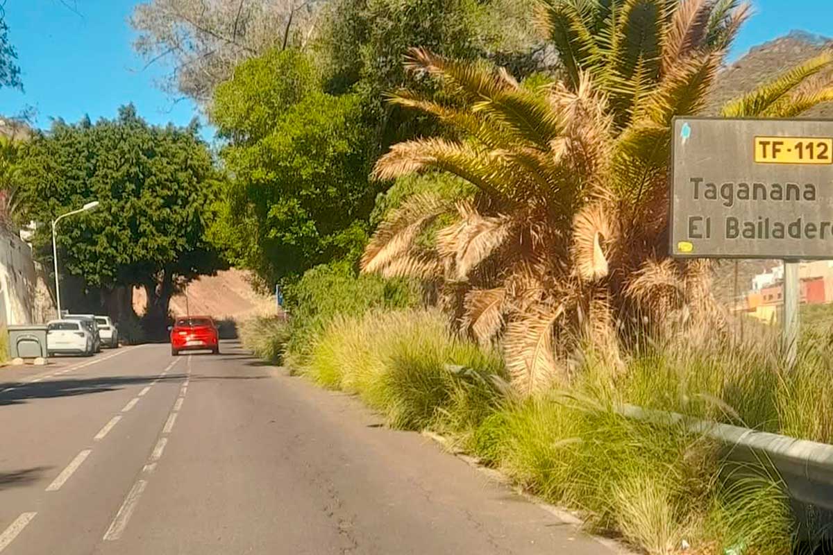 El parque rural de Anaga, invadido por la flora exótica y sin cuadrillas específicas