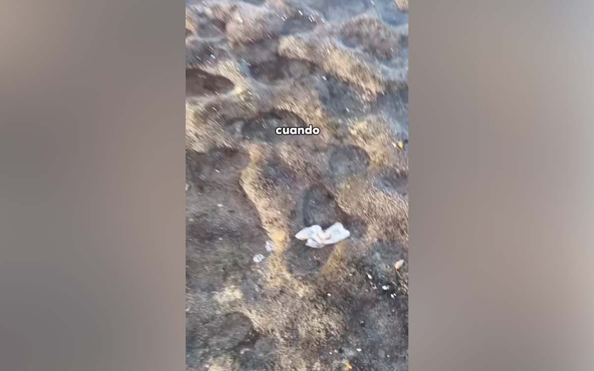 Una playa de Tenerife invadida por toallitas: "Había compresas, había de todo..."