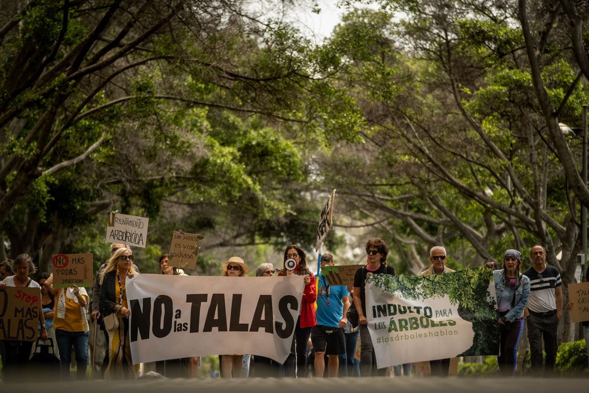 Decenas de personas me movilizan contra la tala de árboles en Santa Cruz de Tenerife