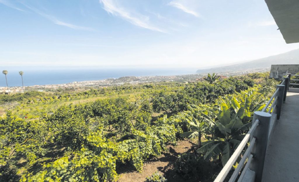 Ingenieros agrónomos piden una mejor regulación del suelo rústico en Canarias