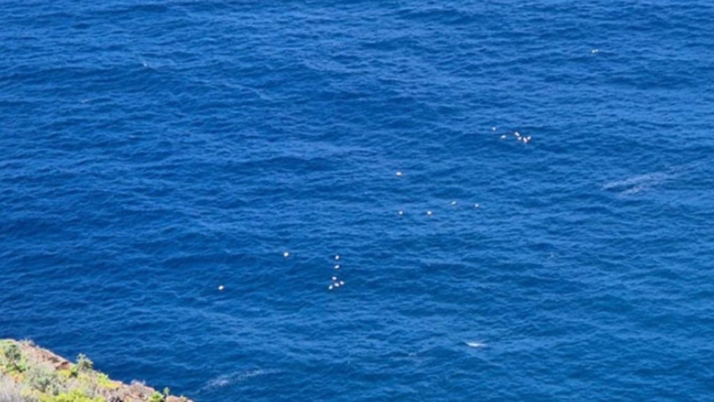 El sorprendente hallazgo de la Guardia Civil en aguas próximas a Canarias