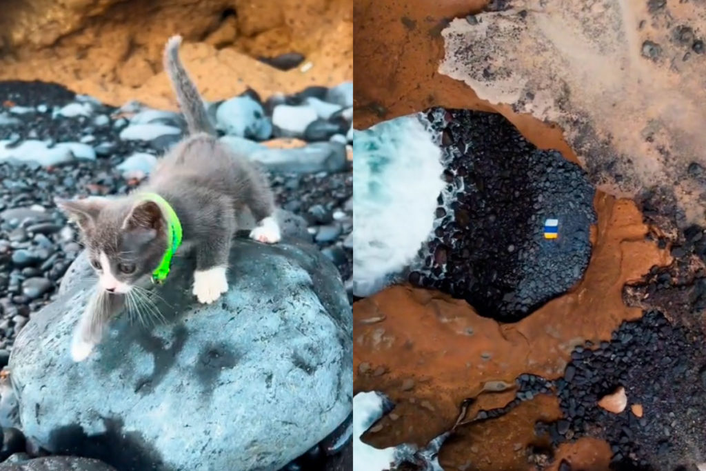 El rincón de Tenerife que conocerás con una guía muy especial y que es "la ventana del paraíso"
