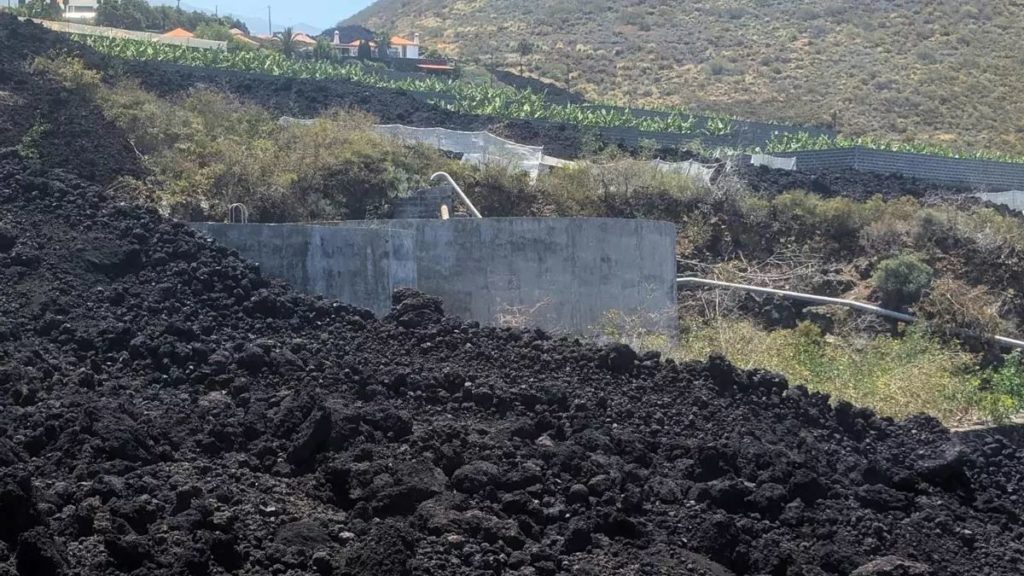 ASEPALMA urge al Gobierno estatal a cumplir la Ley de Presupuestos y desbloquear 200 millones de euros para reconstruir las plataneras del Valle de Aridane