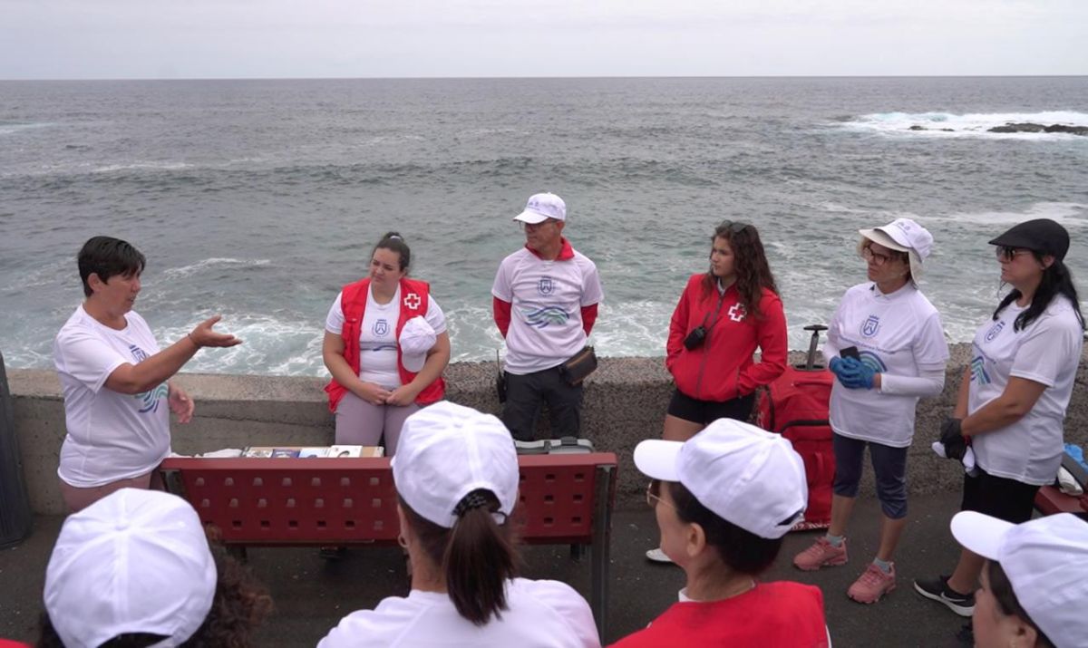 Actividades en Tenerife con motivo del Día Mundial de los Océanos