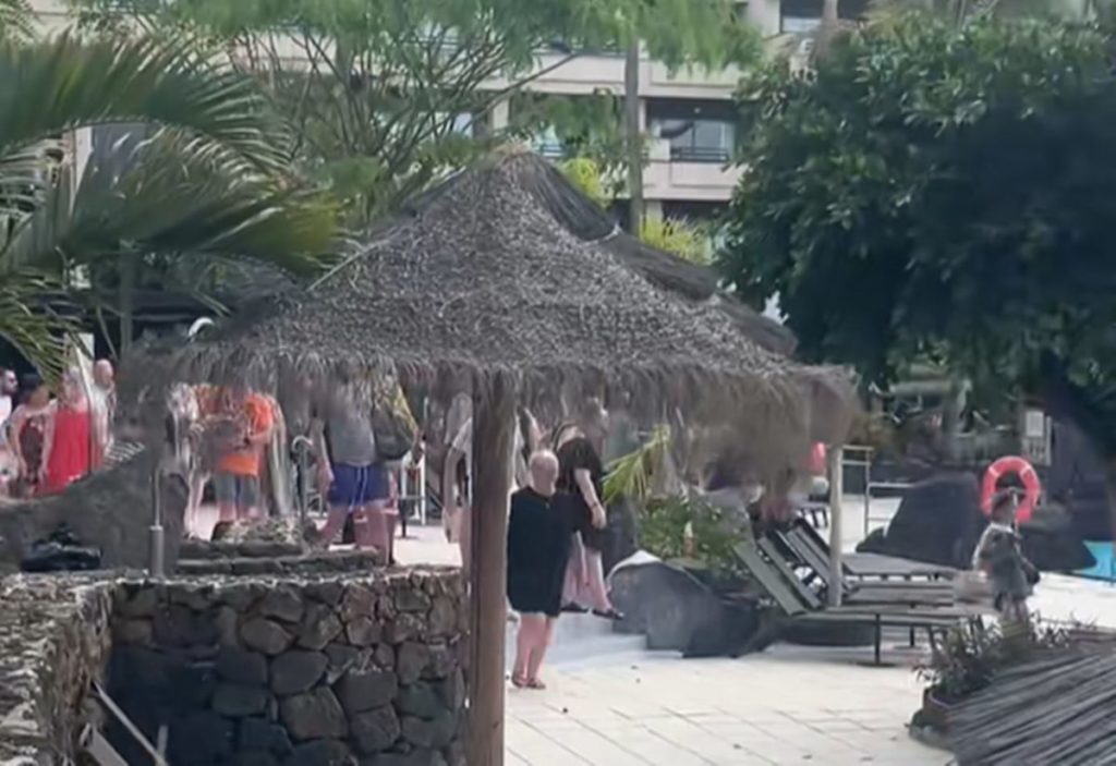 Guerra de hamacas en Canarias. DA
