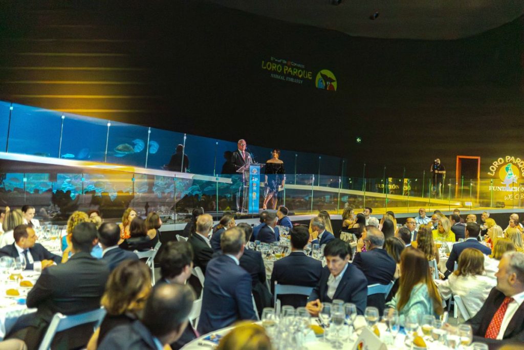 Loro Parque Fundación brilla con motivo del Día de los Océanos