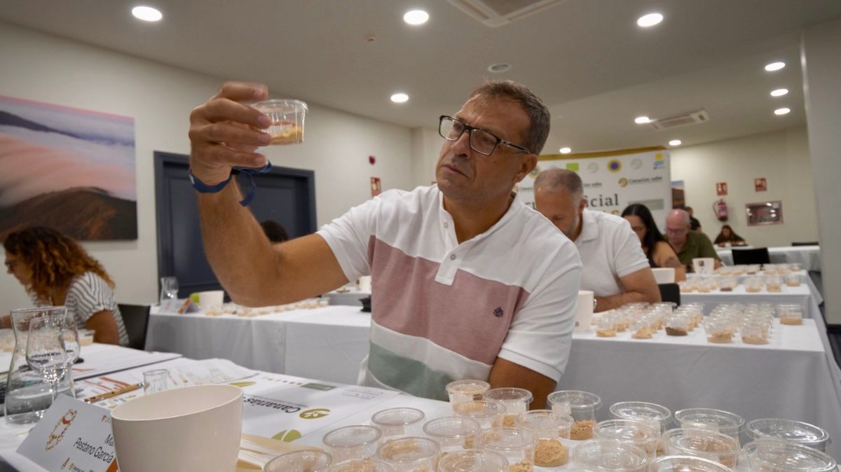 41 muestras de 11 molinos compiten por ser el mejor gofio de Canarias