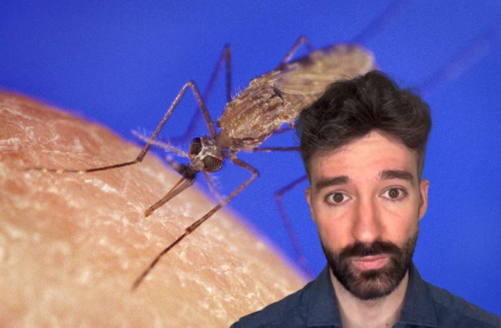Un médico te explica los 5 motivos por los que los mosquitos te pican más a ti que a la persona que duerme a tu lado