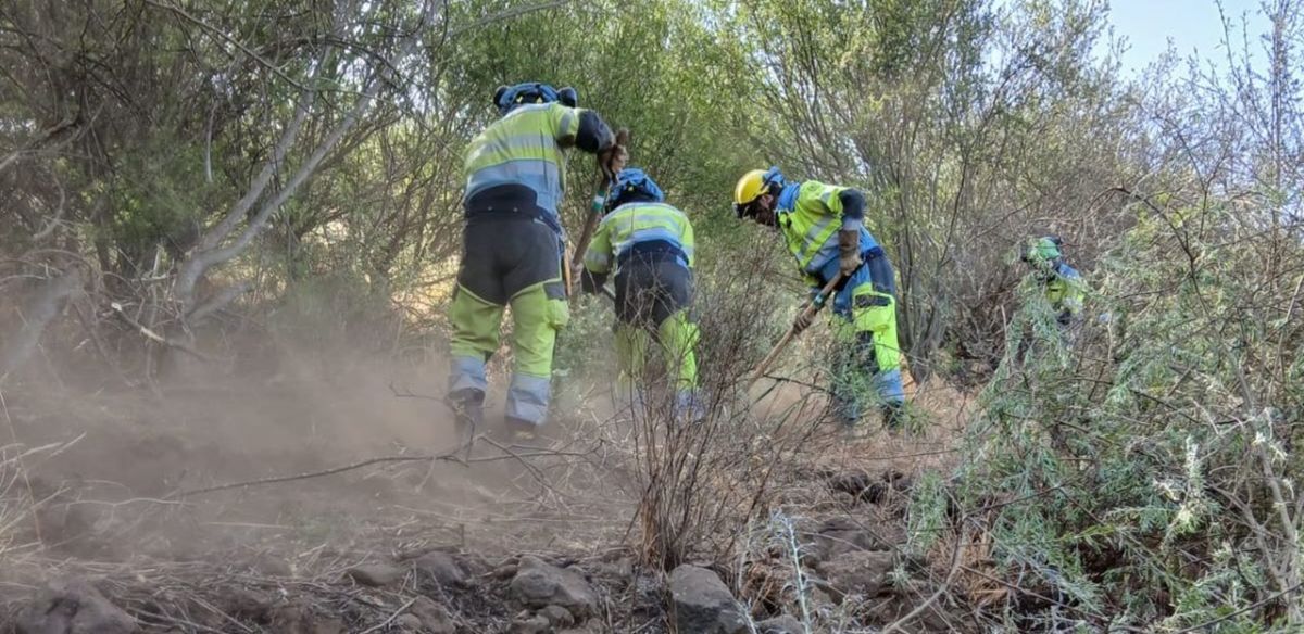 Última hora del primer incendio del verano en Tenerife: "No está extinguido"