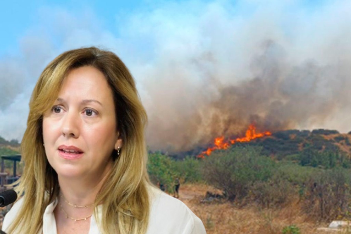 Rosá Dávila lo confirma: "El incendio de Tenerife pudo ocurrir por un descuido"