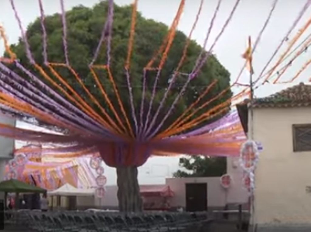 Reyerta multitudinaria en la gala de elección de la reina de un barrio de Tenerife