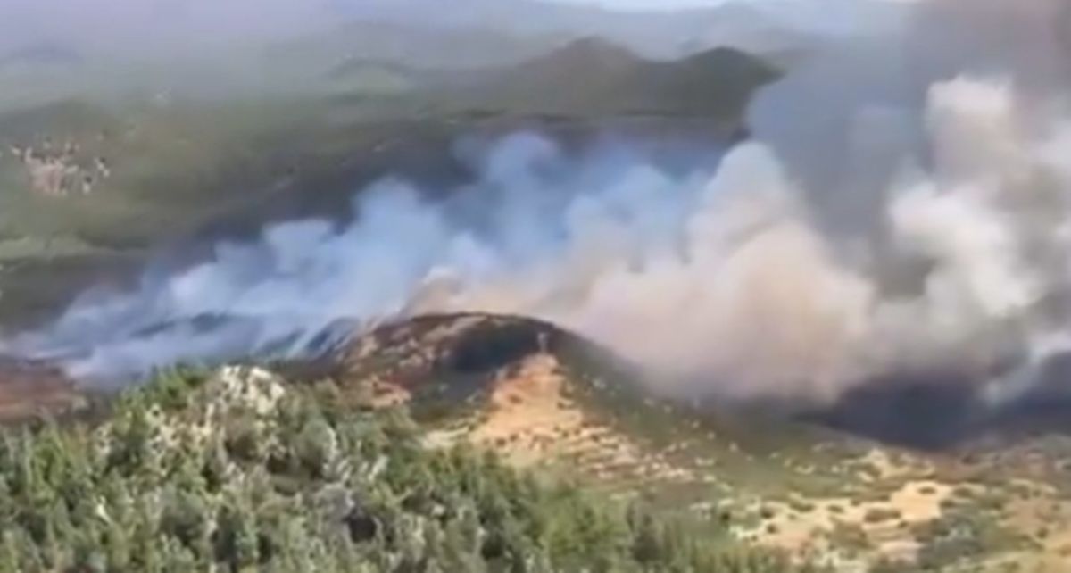 Un avión 'Air Tractor' se suma a la extinción del incendio en Tenerife: "No es un hidroavión"