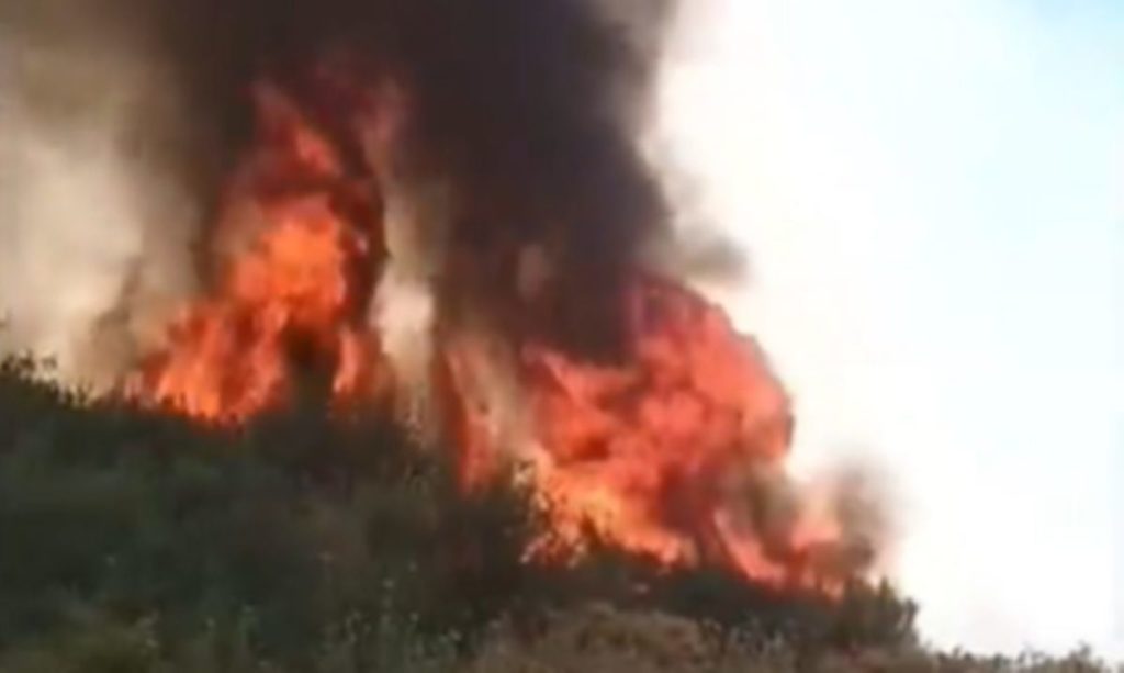 Un avión 'Air Tractor' se suma a la extinción del incendio en Tenerife: "No es un hidroavión"