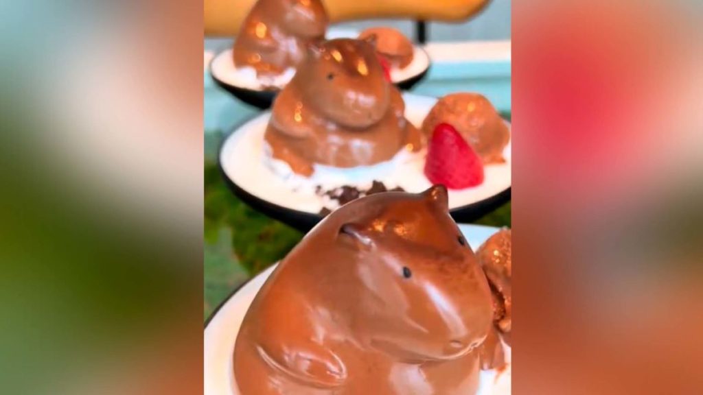 El pudin de capibara: el postre viral que divide a internet (y no es lo que parece)