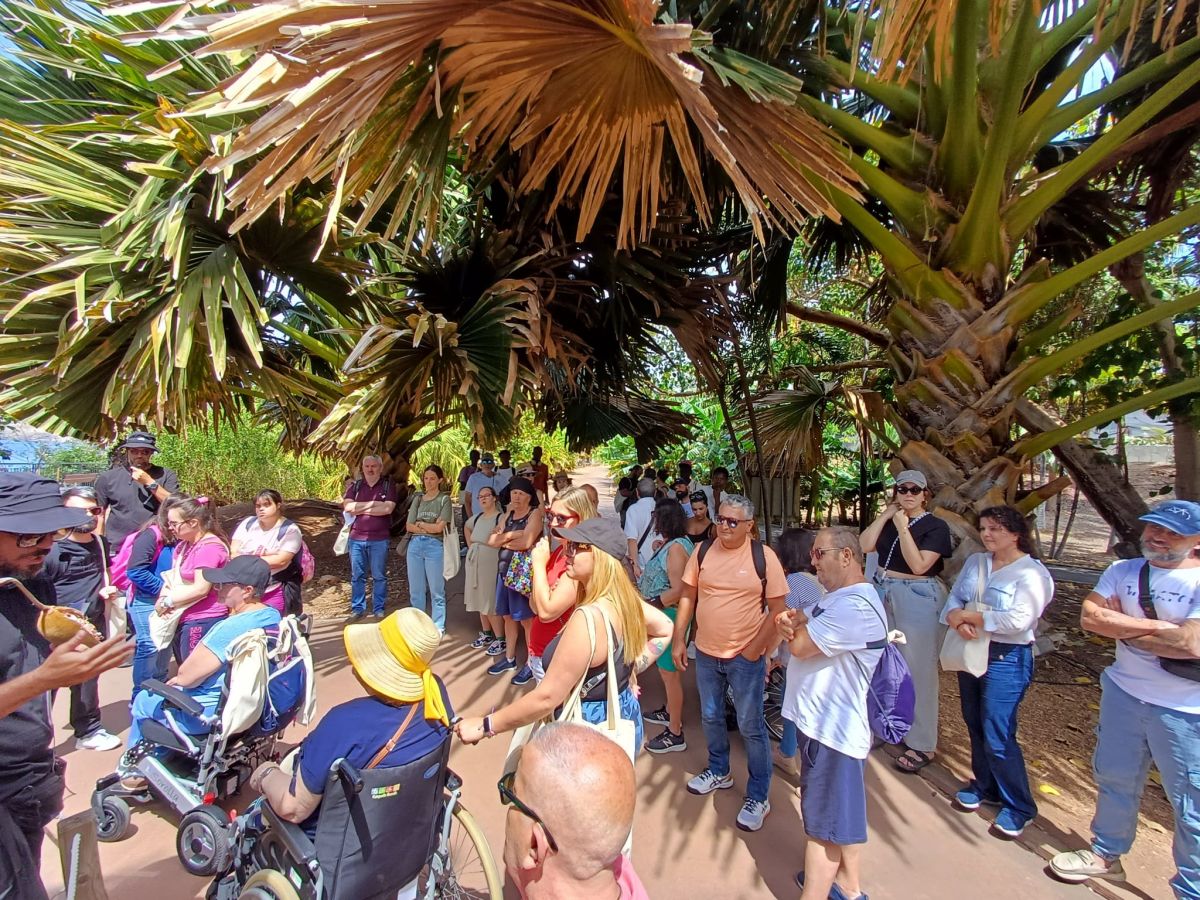 El voluntariado ambiental de Fundación Moeve lleva a cinco entidades sociales al Palmetum de Santa Cruz