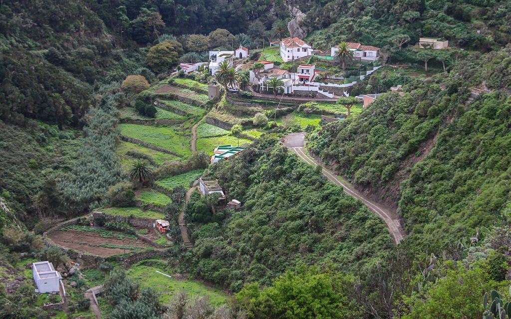 Ruta de senderismo en Anaga, planes de tranquilidad en Tenerife
