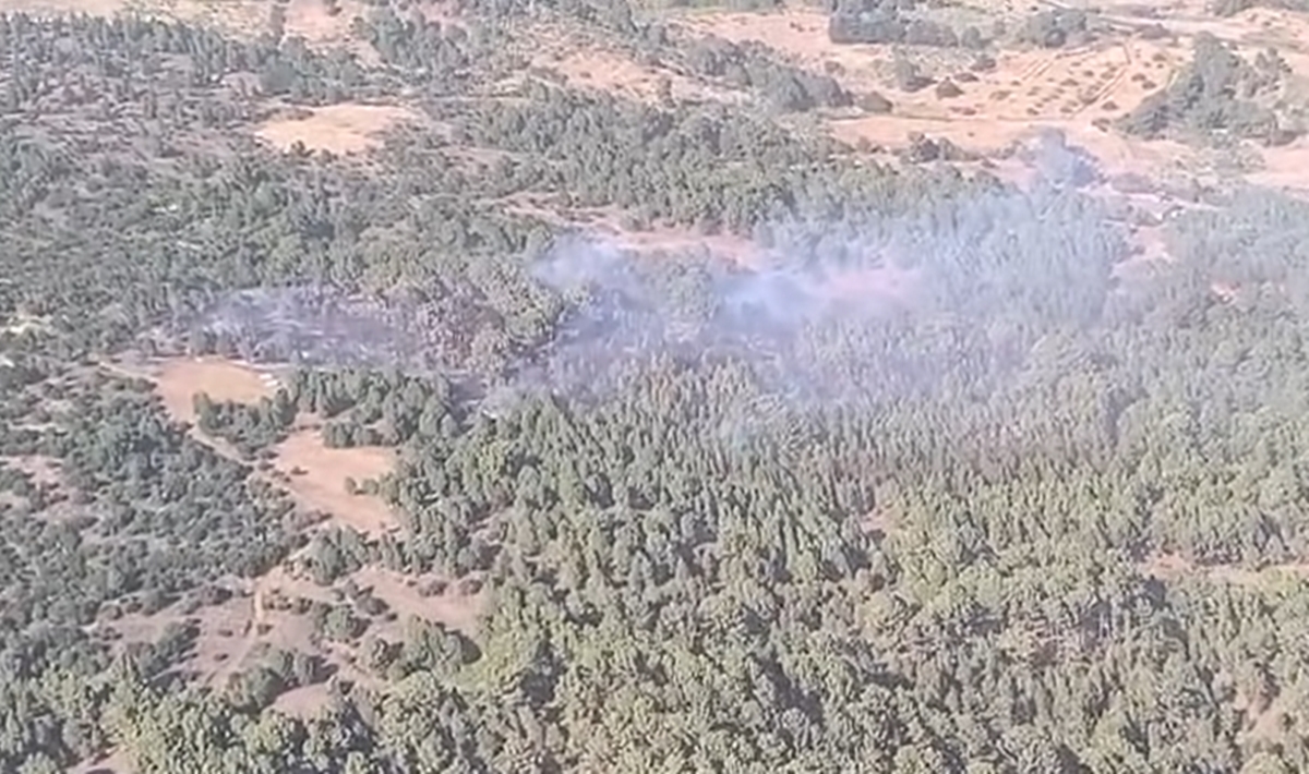 Logran controlar uno de los dos conatos de incendio en El Hierro