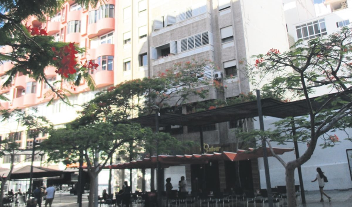 Controversy Over Removal of Jacarandas on Puerto Escondido Street in Santa Cruz