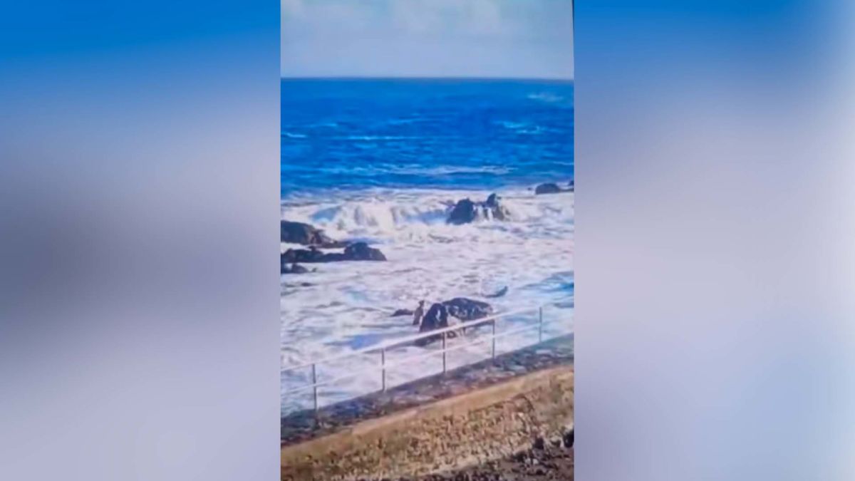 Turistas ponen su vida en juego en el Puerto de la Cruz por darse un baño
