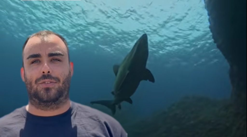 Joseba Landaeta, submarinista, explica el curioso motivo por el que se ha dejado ver el tiburón solrayo en aguas canarias