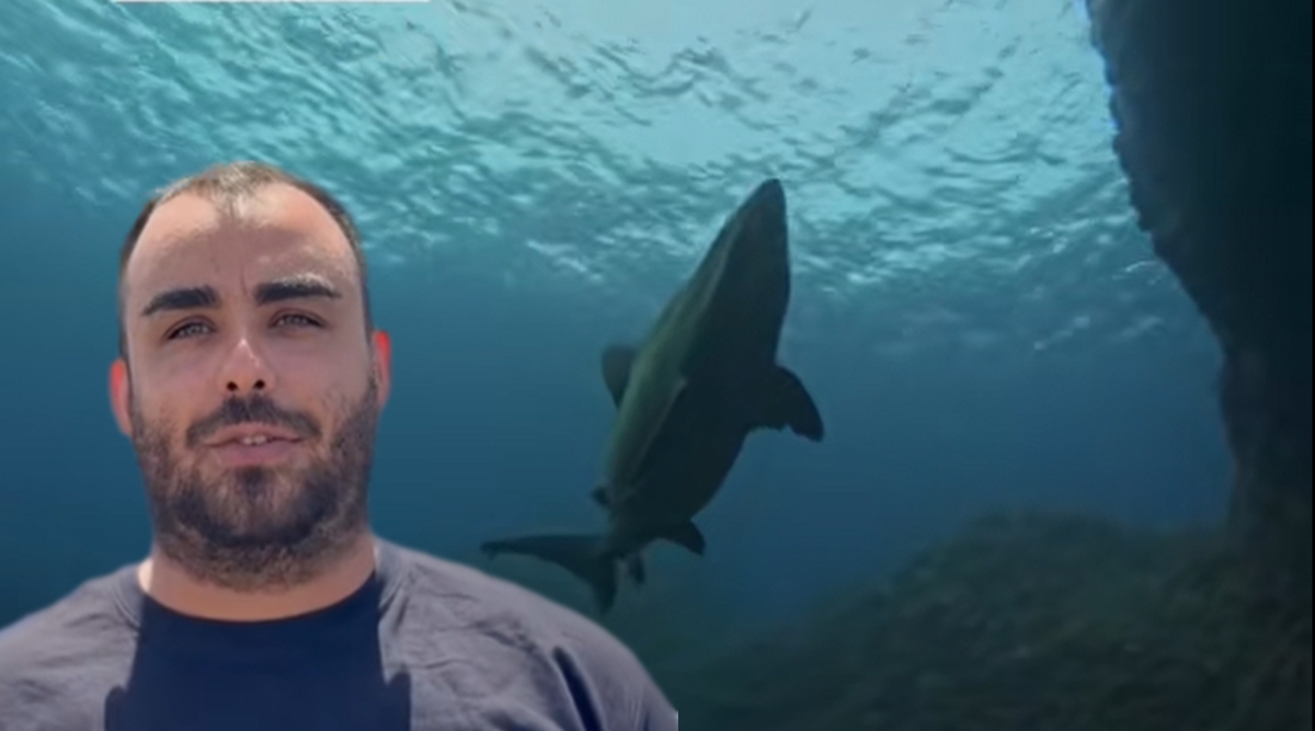 Joseba Landaeta, submarinista, explica el curioso motivo por el que se ha dejado ver el tiburón solrayo en aguas canarias