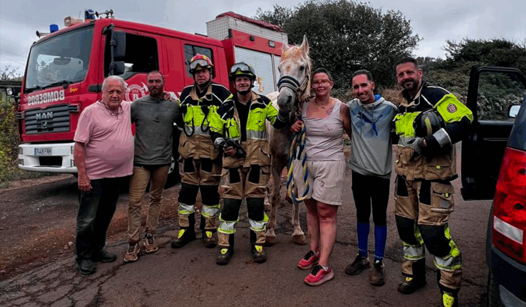 Rescatan a un caballo tras caer a un barranco de 15 metros en Tenerife. Bomberos de Tenerife
