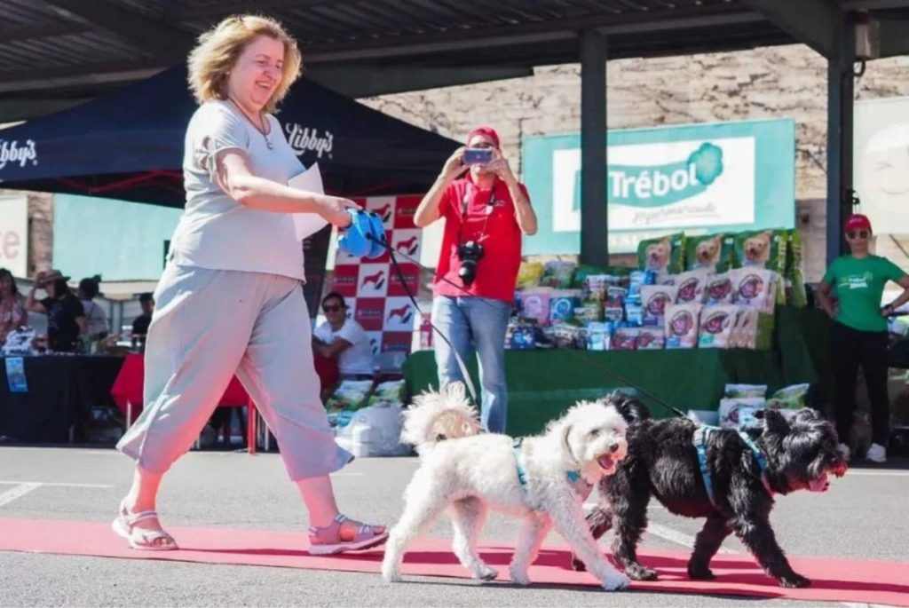 Tu Trébol y Purina organizan el IX desfile solidario para promover la adopción responsable de mascotas en Tenerife