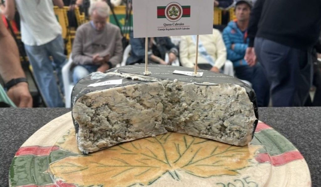 Paga 37.000 euros por el queso más caro del mundo y se le cae al suelo