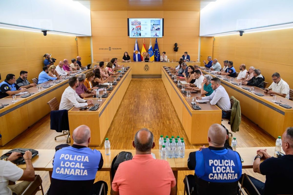 Reunión del Cabildo con los representantes de los 31 municipios, ayer. DA